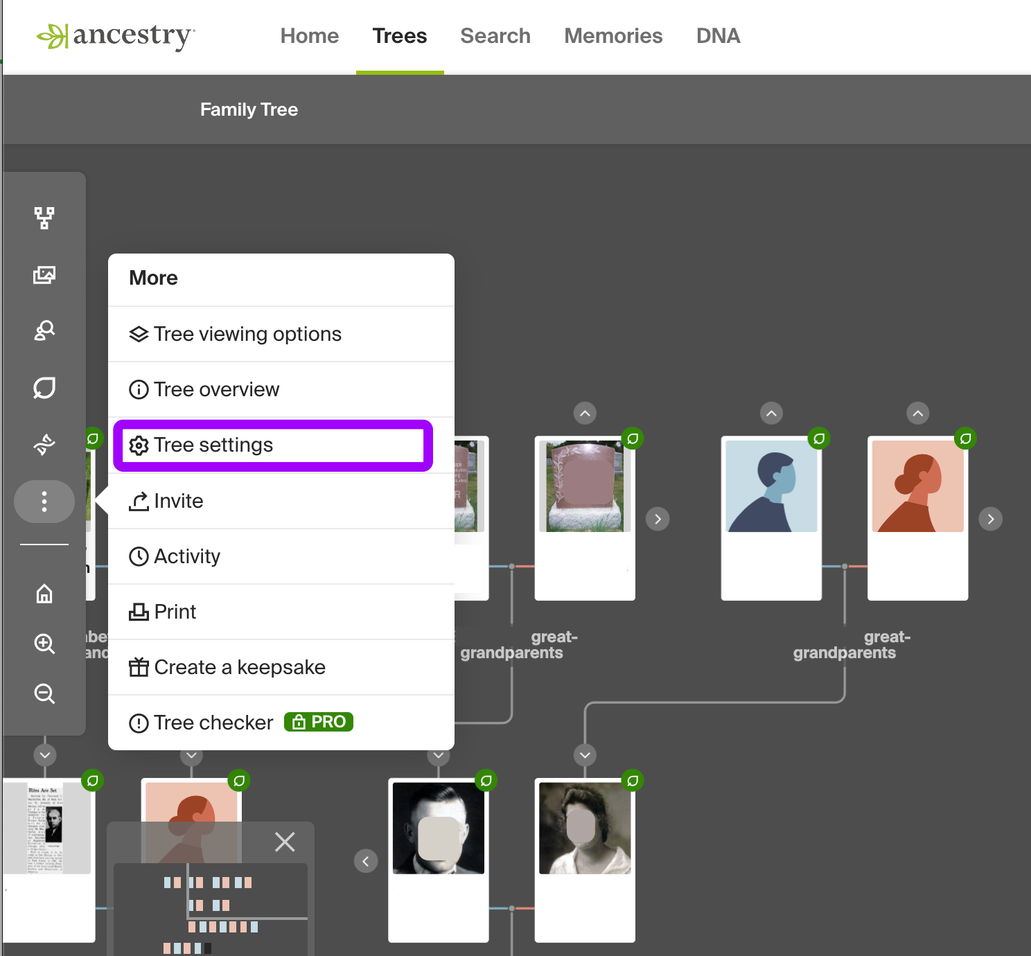 Ancestry tree view showing the 3-dot menu with Tree Settings highlighted