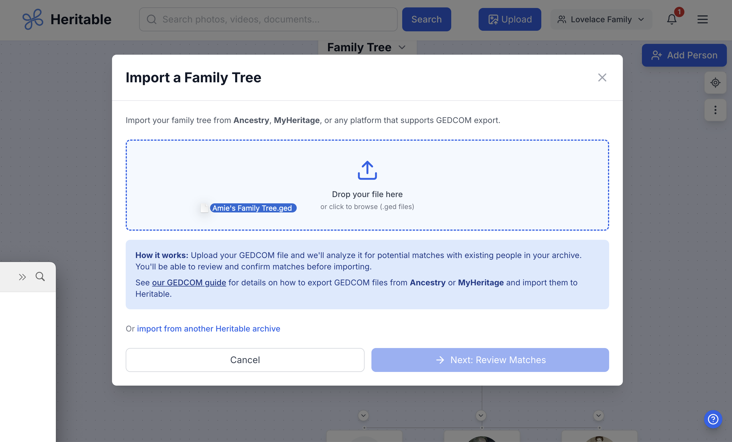 Heritable Review Import Matches screen showing merge preview with field comparison